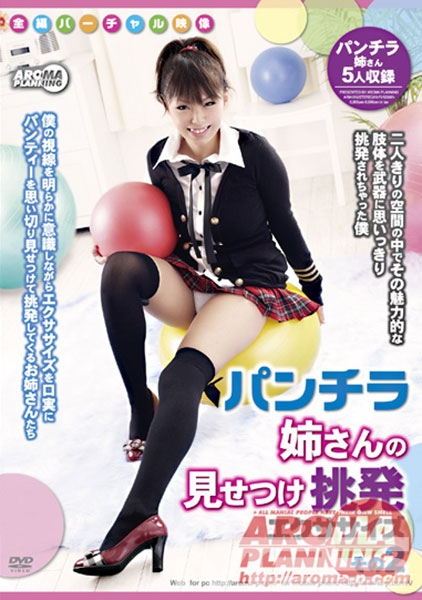 パンチラ姉さんの見せつけ挑発エクササイズ その2
