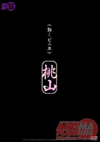 
                        > 桃山 モデル:中森玲子
    