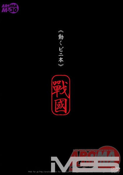 <<動くビニ本>> 戰國 モデル◆細川まり
