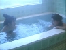 053RD-1081 サンプル画像5