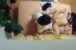 022ITSR-022 サンプル画像1