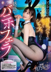 513DLDSS-485