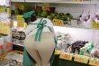 104DANDY-514 サンプル画像4