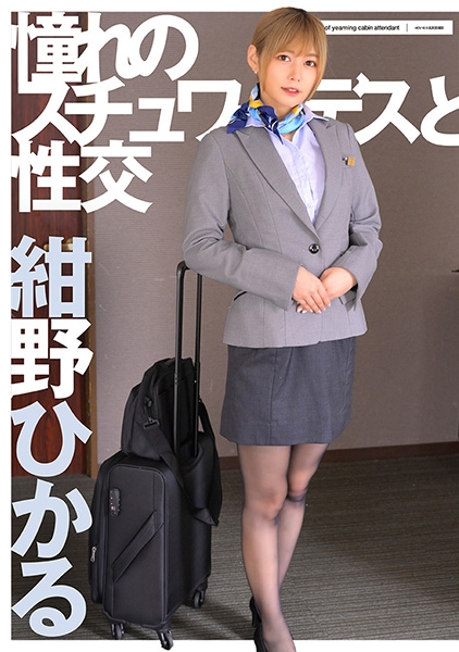 憧れのスチュワーデスと性交 紺野ひかる