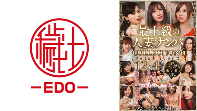 最上級の人妻ナンパ COLLECTION 6 まんまと中出しされた12人4時間