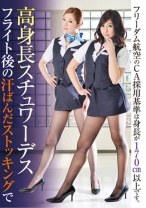 
                        高身長スチュワーデス フライト後の汗ばんたストッキングで 有馬ゆり 西野エリカ 如月ゆうき 白鳥ゆな
    