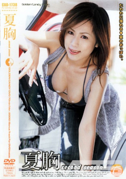 夏胸 second season