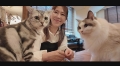 猫カフェデートの後はホテルで思いっきり交尾 画像1