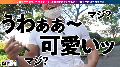 902SGK-060 サンプル画像2