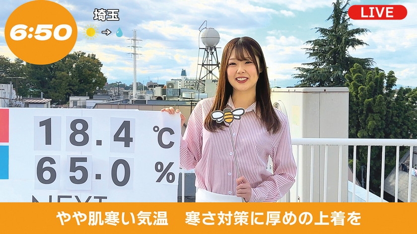 お天気お姉さん 中継レポート狩り 2 汚された朝の顔 地方局美人キャスター4名5
