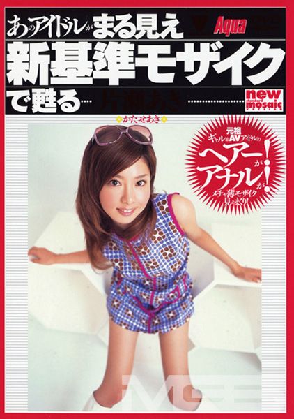 あのアイドルがまる見え新基準モザイクで甦る 片瀬あき