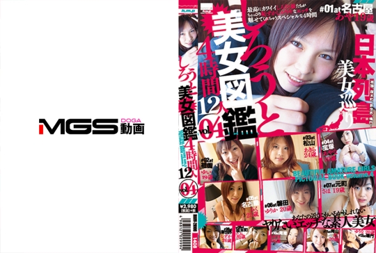 しろうと美女図鑑 vol.4 12人 4時間
