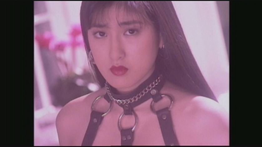 大人のAVベストセレクション vol.50 1990年代名作ドラマ編6 10作品本編まるごと収録 サンプル画像11
