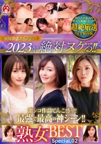 ホットエンターテイメント2023年 絶対ヌケる!!熟女BEST Special.02