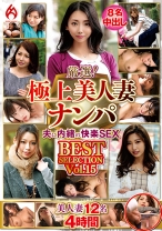 厳選！極上美人妻ナンパ 夫に内緒のSEX BEST SELECTION Vol.15