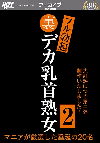裏フル勃起デカ乳首熟女 2 マニアが厳選した垂涎の20名