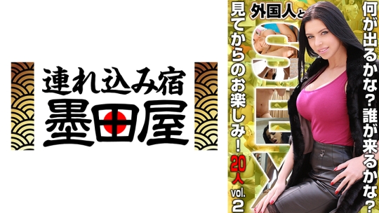 外国人とSEX！何が出るかな！誰が来るかな？見てからのお楽しみ！20人 vol.2