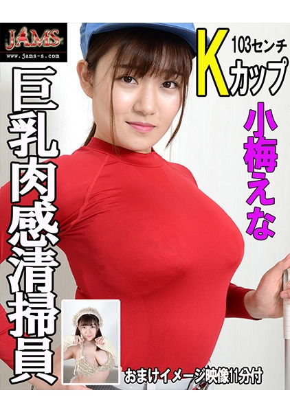 巨乳肉感清掃員