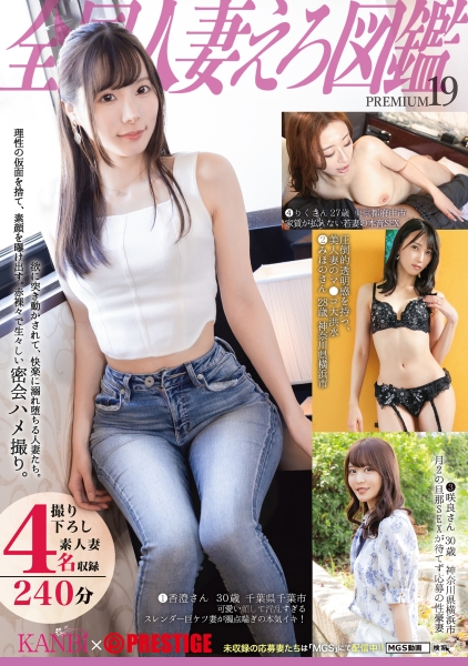 全国人妻えろ図鑑 PREMIUM 19
