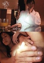 The SEX 17
