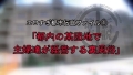 300NTK-202 サンプル画像1