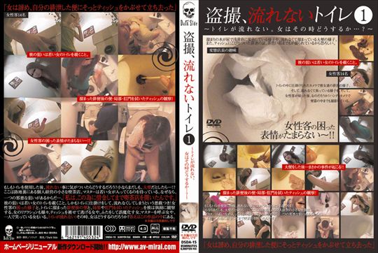 盗撮、流れないトイレ1