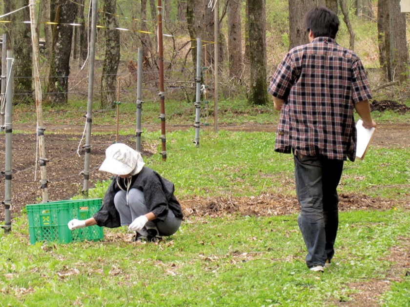 田舎のお母さんナンパ スペシャル版 240分 11名 石野祥子 中山香苗 岩下千恵 山本麗子_17