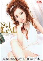 
                        No.1 CABA GAL 攻略!!巨乳現役キャバ嬢in六本木
    
