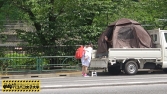 私立パコパコ女子大学 女子大生とトラックテントで即ハメ旅 Report.008 私立パコパコ女子大学 女子大生とトラックテントで即ハメ旅 Report.008