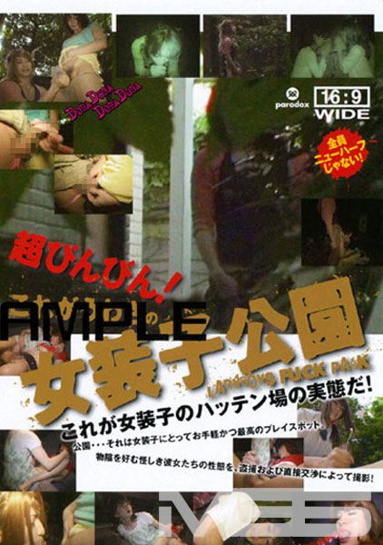 超びんびん! これがうわさの女装子公園