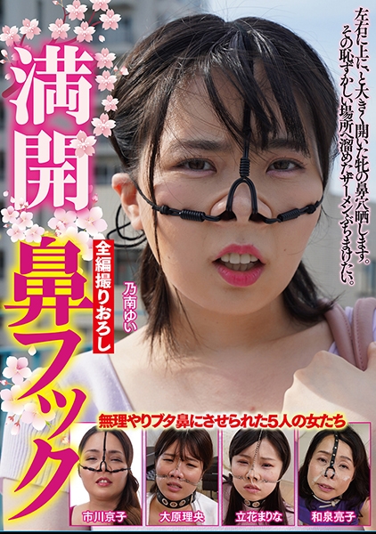 満開鼻フック 乃南ゆい 市川京子 大原理央 和泉亮子 立花まりな