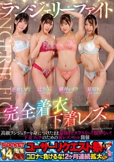 ランジェリーファイト完全着衣下着レズ_img