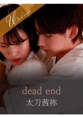 dead end_img