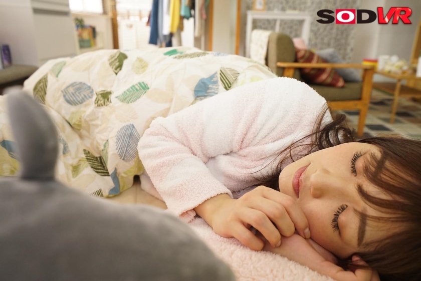 1073DSVR-0537 【VR】女の子の家の壁になるVR サンプル画像 1枚目