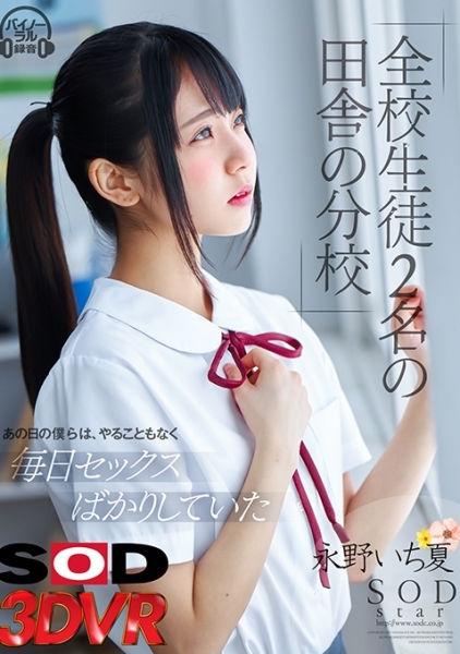 【VR】学生2名の田舎の学校 あの日の僕らは、やることもなく毎日セックスばかりしていた 永野いち夏
