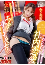 
                        【VR】もしも僕がSODに入社したら…1年先輩の中山先輩と会社には内緒でこっそり社内恋愛 エッチな先輩、宣伝部 中山琴葉が休日のオフィスで「ほかの人は内緒だよ？会社でエッチな事しちゃお？」
    