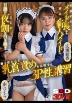 
                        【VR】引退するメイド長から初心な新人メイドへ 日課の夜伽を引き継ぎ 磨き抜かれた乳首責めを伝授する3P性講習 広瀬結香 南乃そら
    