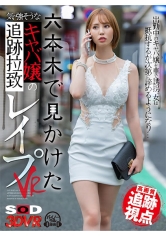 【VR】【高画質 追跡視点】六本木で見かけた気の強そうなキャバ嬢を追跡拉●レ●プVR