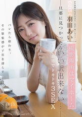 元芸能人 羽田あい 撮影場所はマイホーム 旦那に見つかったらいい訳出来ない… 自宅でドキドキ3SEX