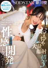 おもちゃ・大量顔射・初3P・オイルエステ もっと気持ち良くなるために初めての一人旅 3泊4日の性感開発トラベラー 新川空 あらかわそら