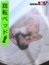 エモい女の子/4回目の撮影/新人クンをリードしてみよう♪/回転ベッド/昭和なラブホ/平成生まれの二人/涼風えみ(23) 涼風えみサンプル画像8
