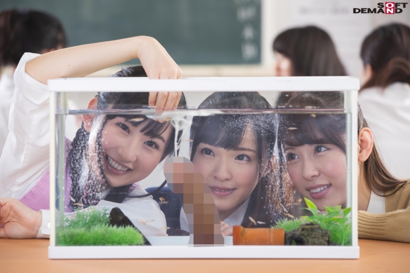 日常生活にある私たちのおちんちんペット_0