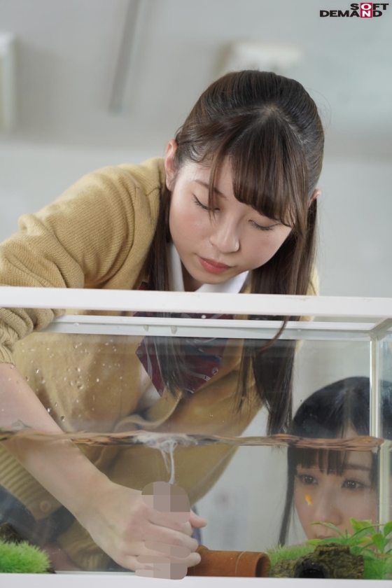 日常生活にある私たちのおちんちんペット_10