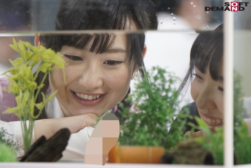 日常生活にある私たちのおちんちんペット_17