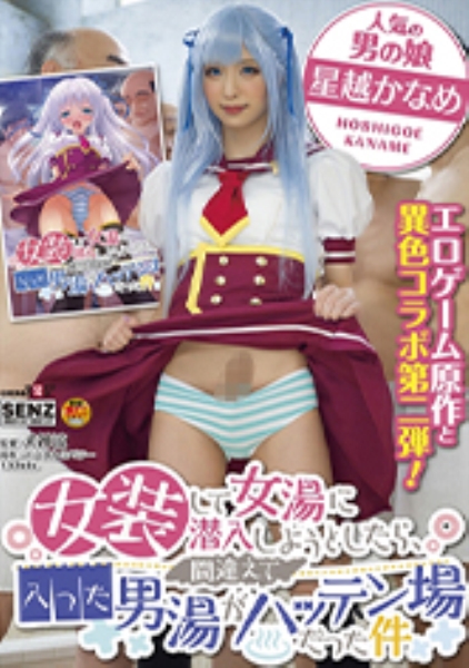 女装をして女湯に潜入しようとしたら、間違えて入った男湯がハッテン場だった件 星越かなめ
