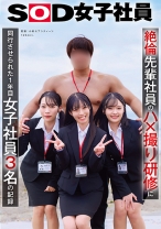 絶倫先輩社員のハ×撮り研修に同行させられた1年目女子社員３名の記録 潮崎杏 納富琳玖 茅平心色
