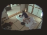 30cmの赤い糸に繋がれたまま見知らぬ男女が一晩過ごしたら･･･火が付いて初対面SEXに落ちるのか？ シーズン 2サンプル画像6