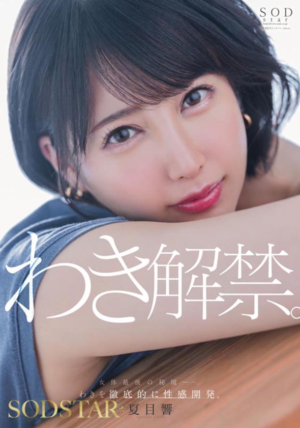 夏目響 AV卒業記念SP総集編!中出しから新作までの人気作品を集めた25作品25SEX10時間完全版! 画像10