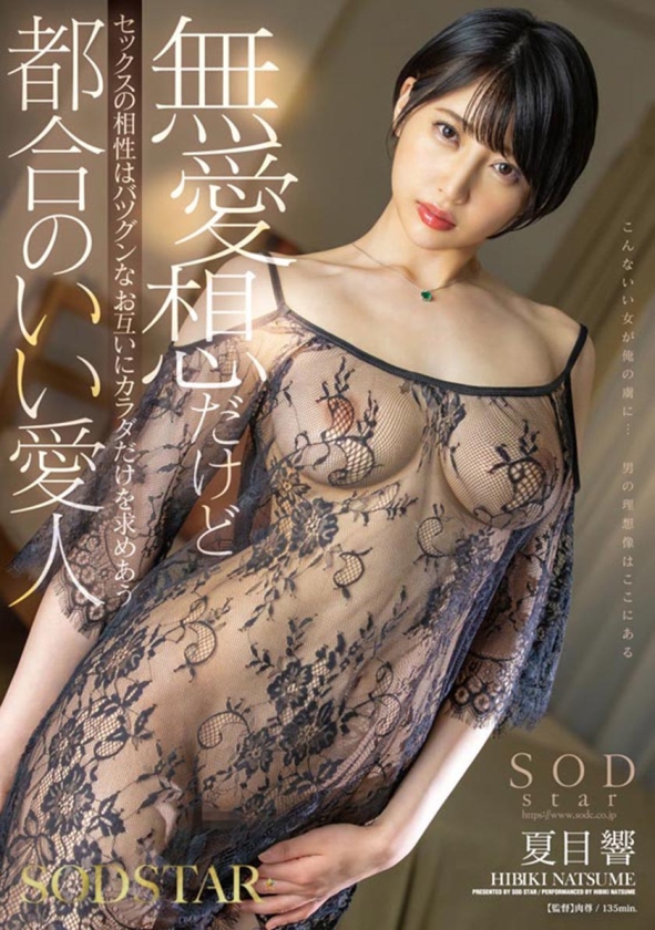 夏目響 AV卒業記念SP総集編!中出しから新作までの人気作品を集めた25作品25SEX10時間完全版! 画像14