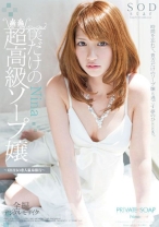 
                        Nina 僕だけの超高級ソープ嬢
    